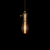 unqiue edison bulb vintage style pendant lamp dimmable 