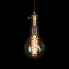 retro super large globe Edison Light Bulb lighting interior design