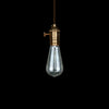 Classic Sparkle Edison Bulb
