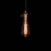 edison twisted light bulb lamp vintage style lighting
