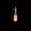 classic edison filament vintage lighting fixture