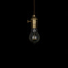 Globe edison light bulb vintage style lighting 