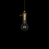 globe star edison bulb vintage style lighting interior design
