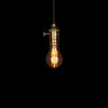 vintage industrial globe edison bulb fixture hanging lamp