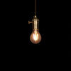 vintage style edison led globe bulb fixture hanging lamp