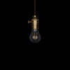vintage style edison led globe bulb fixture pendant lamp