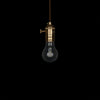 modern loft globe led edison light bulb lighting fixture hanging lamp