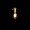 vintage modern small globe led edison light bulb hanging lamp