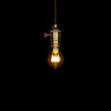 Globe Teardrop LED Light Bulb